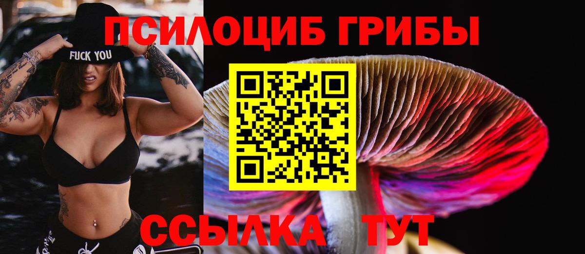 Мелеуз  Псилоцибиновые грибы MAGIC MUSHROOMS  Вход с VPN 